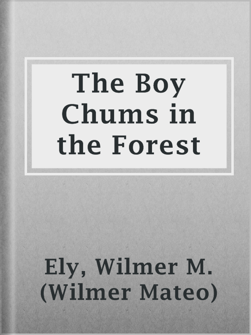 Title details for The Boy Chums in the Forest by Wilmer M. (Wilmer Mateo) Ely - Available